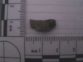 Projectile point notched base