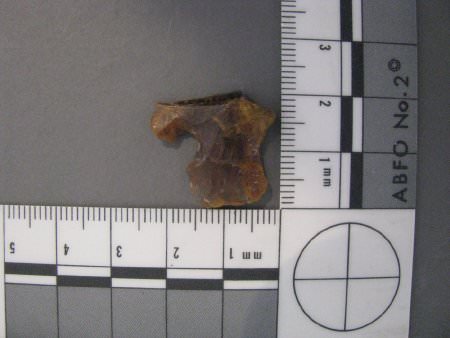 projectile point base with scale