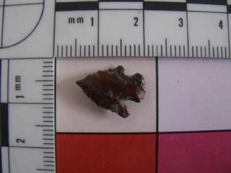 Projectile Point                        