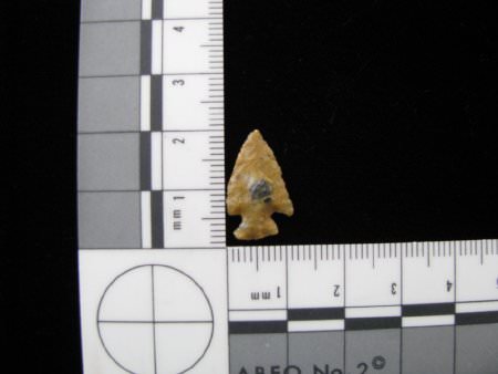 Projectile Point                        