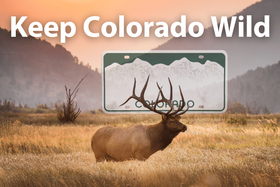 Keep Colorado Wild Image