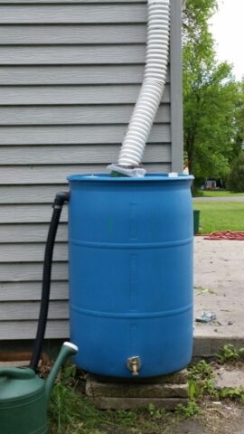 Blue plastic rain barrel connect to downspout outside of home