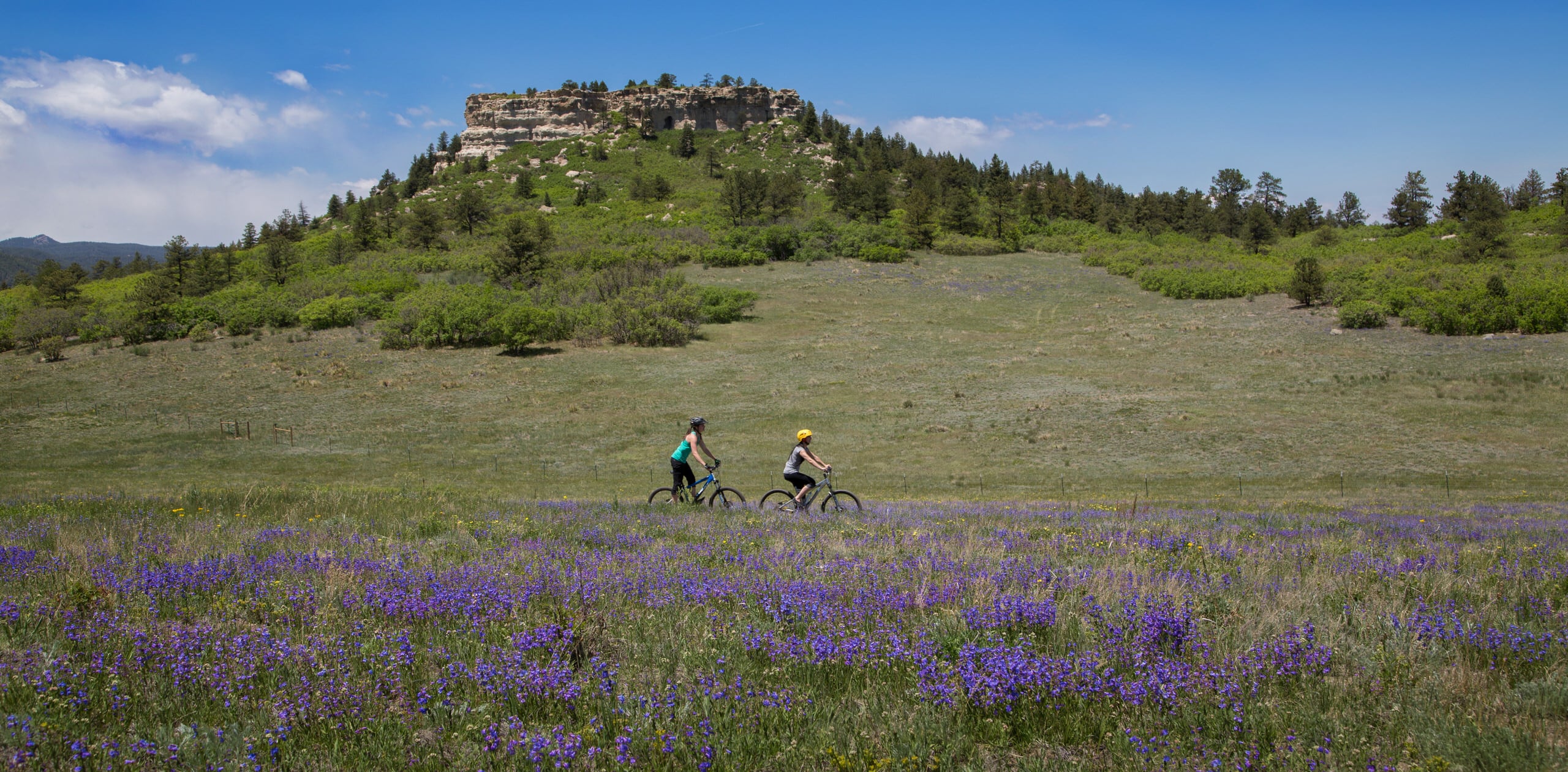 Girls biking on trail with green bluff in background and wildflowers in foreground